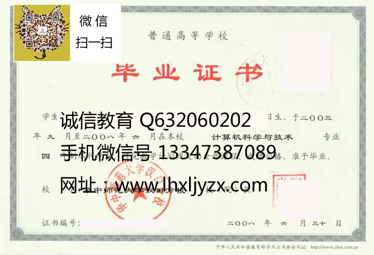 华中师范大学汉品分校2008 拷贝.jpg