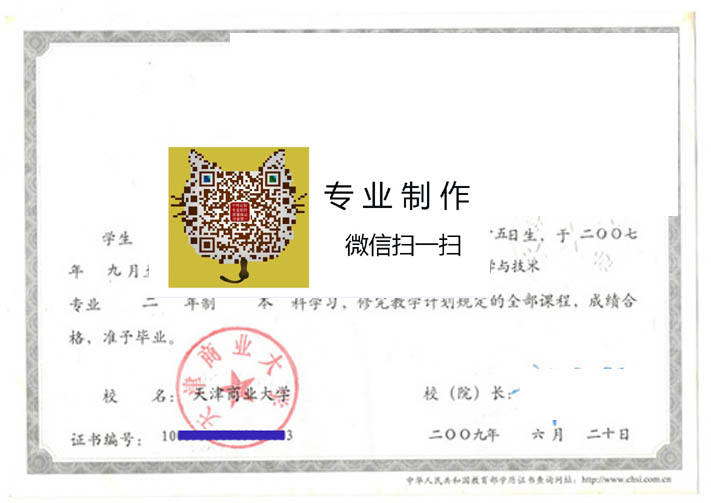 天津商业大学2009 拷贝.jpg